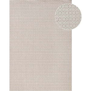 Šedý venkovní koberec NORTHRUGS Coin, 80 x 150 cm obraz
