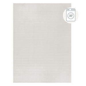 Bílý pratelný koberec z žinylky 200x320 cm Elton – Flair Rugs obraz