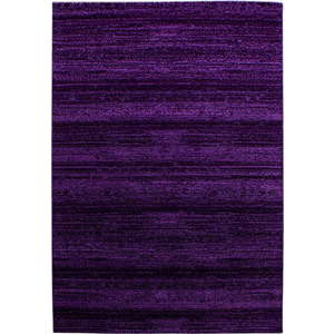 Tmavě fialový koberec 120x170 cm Plus – Ayyildiz Carpets obraz