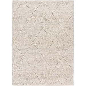 Bílý koberec 60x120 cm Atesa – Universal obraz