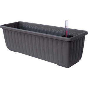 Antracitově šedý samozavlažovací truhlík, délka 80 cm Siesta - Plastia obraz