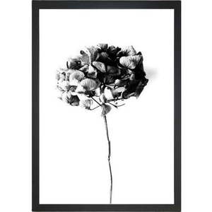 Obraz 24x29 cm Velvet Flower – Vavien Artwork obraz