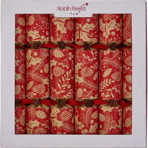 Vánoční crackery v sadě 6 ks Winter Pine Cones – Robin Reed obraz