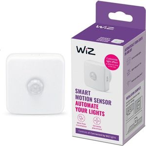 Smart pohybový senzor – WiZ obraz