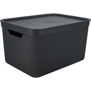 Plastový úložný box s víkem Deco - Rotho obraz
