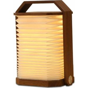 Bílá/v tmavě přírodní barvě LED stolní lampa (výška 4 cm) Origami – Gingko obraz