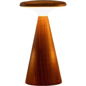 LED stolní lampa v tmavě přírodní barvě s dřevěným stínidlem (výška 14 cm) Sylva – Gingko obraz