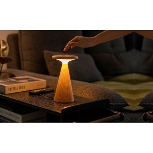 LED stolní lampa v přírodní barvě s dřevěným stínidlem (výška 21 cm) Sylva – Gingko obraz