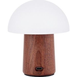 Bílá/v tmavě přírodní barvě LED stolní lampa (výška 12, 5 cm) Alice Mushroom – Gingko obraz