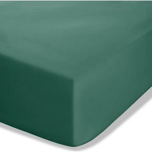 Tmavě zelené napínací perkálové prostěradlo 150x200 cm Easy Iron Percale – Catherine Lansfield obraz
