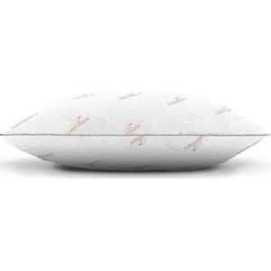 Polštář 60x70 cm Coolmax – Good Morning obraz