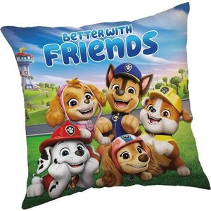 Dětský polštářek 40x40 cm Paw Patrol – Jerry Fabrics obraz