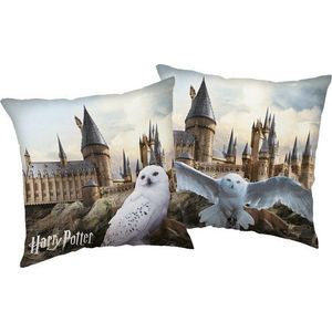 Dětský polštářek 40x40 cm Harry Potter "Hedwig" – Jerry Fabrics obraz