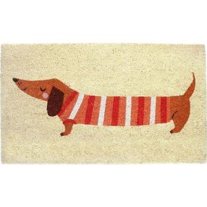 Rohožka z kokosového vlákna 43x73 cm Sausage Dog – Rex London obraz