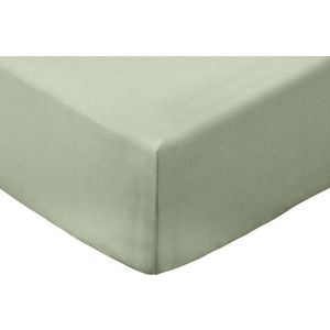 Zelené napínací prostěradlo z bavlněného perkálu 90x190 cm Cotton Percale – Bianca obraz