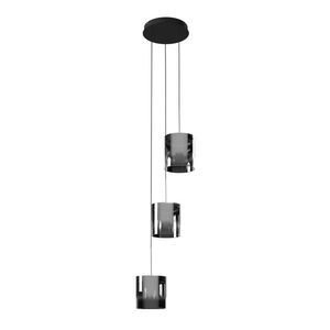 Dieter Knoll ZÁVĚSNÉ LED SVÍTIDLO, 40/180 cm obraz