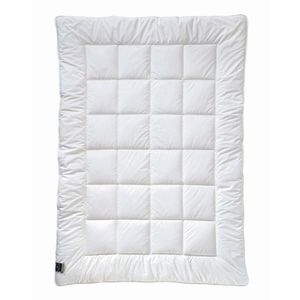 Billerbeck CELOROČNÍ PŘIKRÝVKA, 135/200 cm, polyester obraz