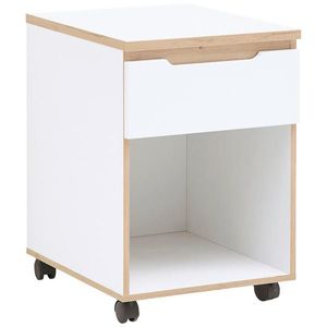 MID.YOU POJÍZDNÝ KONTEJNER, 45/66/55 cm obraz