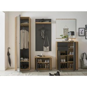 Carryhome ŠATNÍ LAVICE, 64, 3/47/38 cm obraz