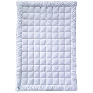Billerbeck LETNÍ PŘIKRÝVKA, 155/220 cm, bambus, duté vlákno obraz
