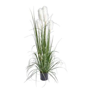 Ambia Home UMĚLÁ ROSTLINA 150 cm obraz