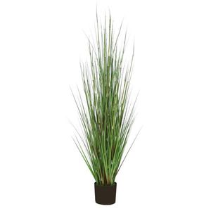 Ambia Home UMĚLÁ ROSTLINA 150 cm obraz