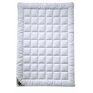 Billerbeck LETNÍ PŘIKRÝVKA, 155/220 cm, polyester obraz