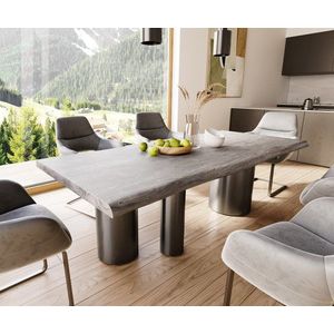 Jídelní stůl Edge 220x100 XL Akácie Platinum Troa Nerezová ocel obraz