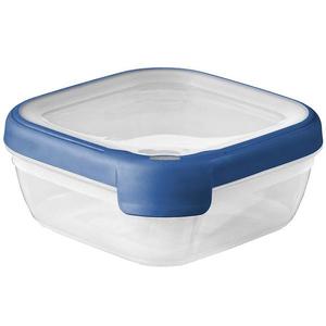 Box čtverec 0.75l průhledný/modrý obraz