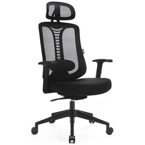 Otáčecí Židle Ergo Essential LV0653 obraz