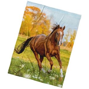 BedTex Deka mikroplyš Ryzák na louce, 150 x 200 cm obraz