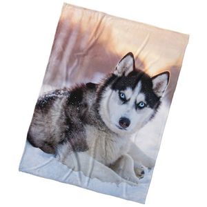 BedTex Deka mikroplyš Pes Sibiřský Husky, 150 x 200 cm obraz