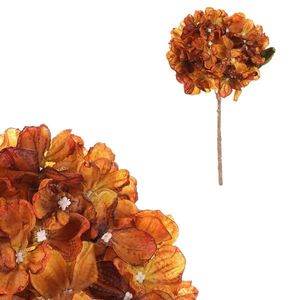 Hortenzie oranžová - umělá řezaná květina, 62 cm obraz