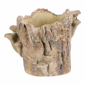 Obal betonový - pařez s houbami, 20 x 18 x 18 cm, 20 cm obraz
