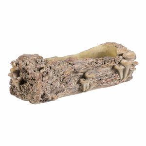 Obal betonový - truhlík, dřevo s houbami, 49 x 21 x 15 cm, 49 cm obraz