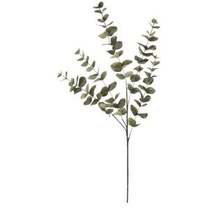 Eukalyptus - umělá větev, velké listy, 100 cm, zelená obraz