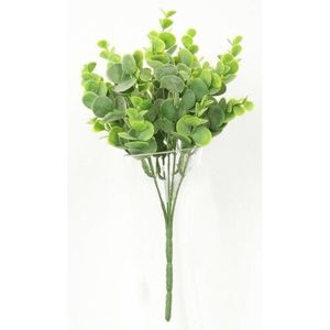 Umělý eukalyptus, 28 cm obraz