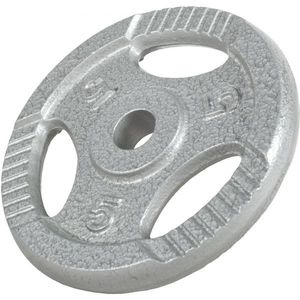 Gorilla Sports Litinový činkový kotouč, 5 kg obraz