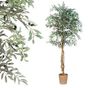 PLANTASIA 1369 Umělý strom - olivovník - 180 cm obraz
