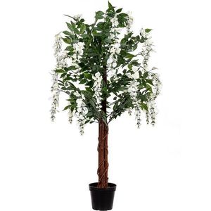 PLANTASIA 91594 Umělý strom, 120 cm, Wisteria krémová obraz