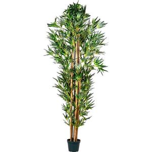 PLANTASIA 43289 Umělá květina - bambus - 190 cm obraz