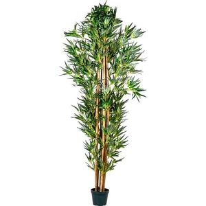 PLANTASIA 1436 Umělá květina strom - bambus - 220 cm obraz