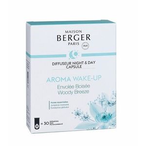 Maison Berger Paris Kapsle do Difuzéru Night & Day, Aroma Wake-up – Lesní vánek 8021 obraz