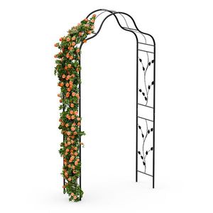 Blumfeldt FloraBelle Cupola oblouk, ozdobné vzory listů, odolný vůči povětrnostním vlivům, podpora popínavých rostlin obraz