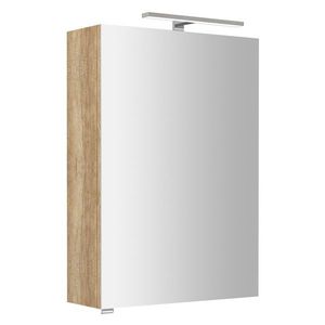 SAPHO RIWA galerka s LED osvětlením, 50x70x17cm, dub alabama RIW050-0022 obraz