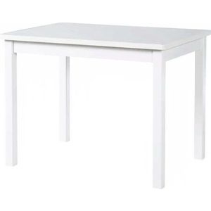 Dětský stolek 50x66, 5 cm – Roba obraz