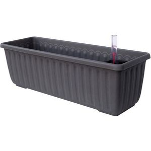 Antracitově šedý samozavlažovací truhlík, délka 80 cm Siesta - Plastia obraz