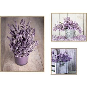 Obrazy v sadě 3 ks 40x50 cm Purple Flowers – knor obraz