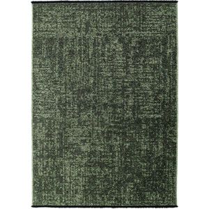 Zelený pratelný koberec 160x230 cm Space 1900 – Ayyildiz Carpets obraz
