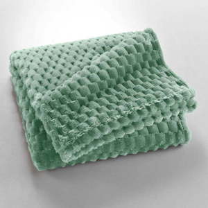 Světle zelená deka z mikroflanelu 125x150 cm Mini Frosty – douceur d'intérieur obraz